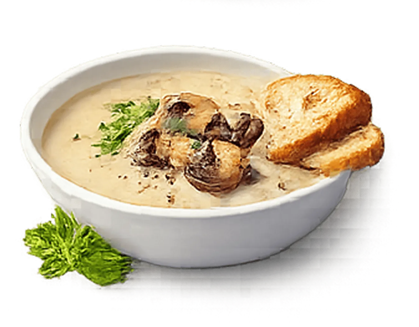 Cream of Mushroom